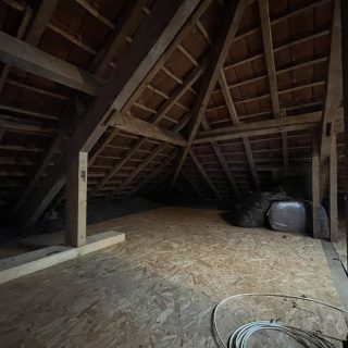 IMG_1389