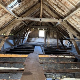 Image (12) Image (12)