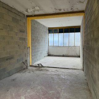 Image (37) Image (37)